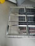 Medical Plasma Blast Freezer