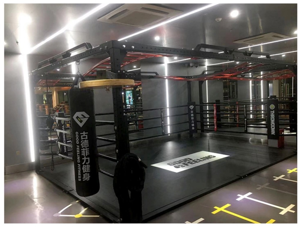 Indoor Comprehensive Crossfit Training Rig HIIT Boxing Bag Rig Exercise Facility