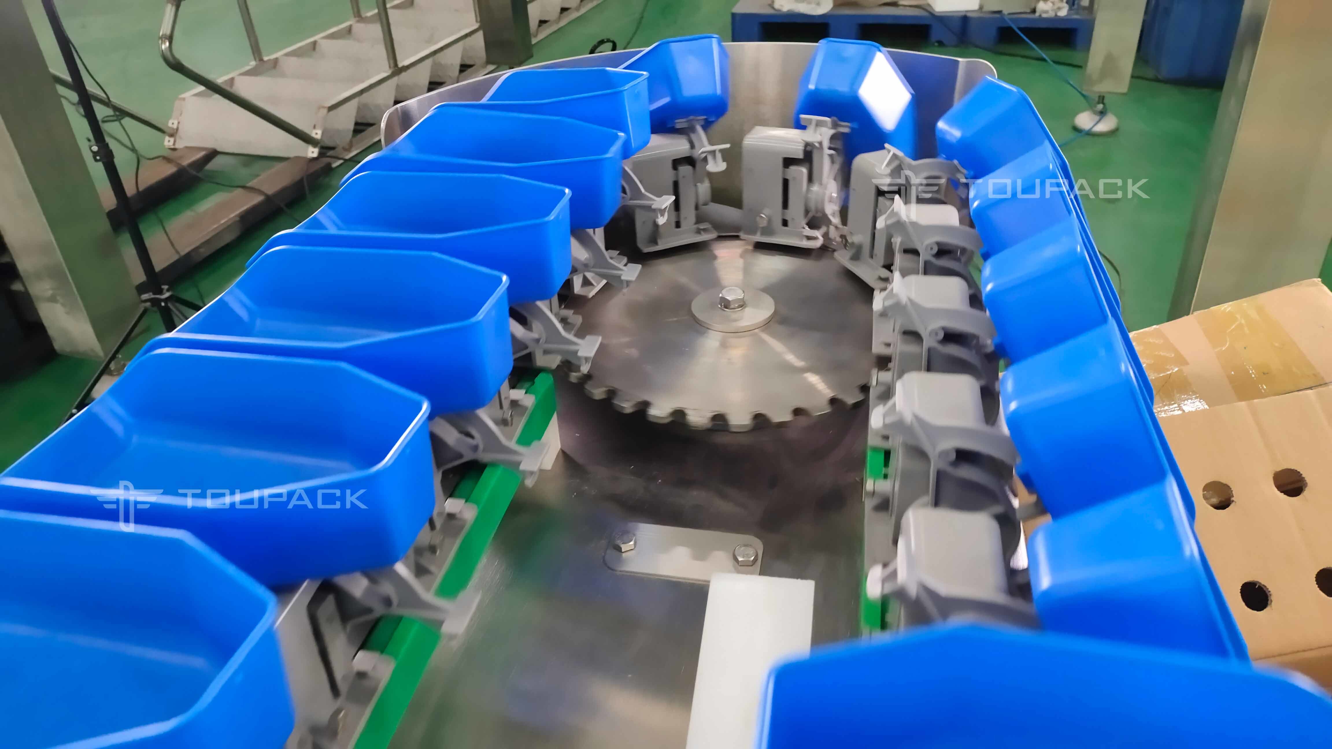 High Accuracy Australian Lobster Weight Sorting Machine 2 Level 6 Level Grading Machine