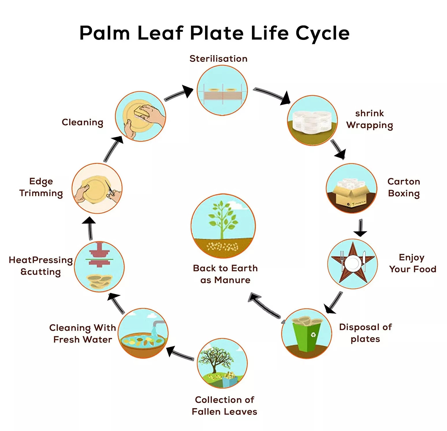 SGS 100% Biobased Palm Leaf Plates Disposable For Children'S Birthday Party