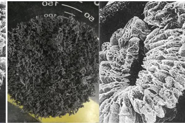 China Manufacturer +80 Mesh +100 Mesh High Carbon 98% Natural Expanded Graphite