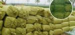 80-120 Bales Capacity Baling Press Machie The Best Solution for Wood Shavings