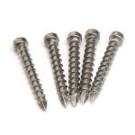 Inox C1 Stainl. Steel Cylindric Head Square Drive Timber Screws Wood Full Thread