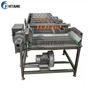 Quality SUS304 Bubble Washer For Fruit And Vegetable Processing Line wholesale