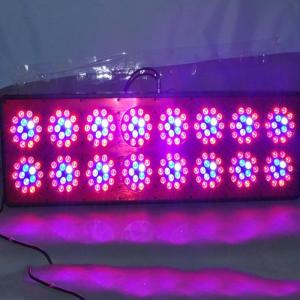 Quality Apollo led grow light, apollo 16led grow lights for vegetable wholesale