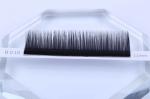 Silk Mink 7D 11mm Classic Lash Extensions 0.1mm Thickness