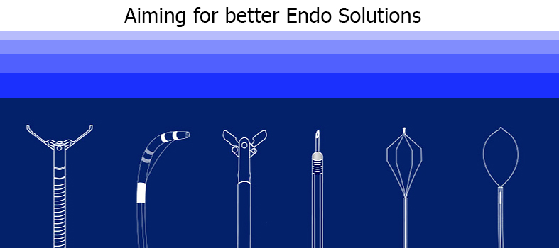 Zebra Hydrophilic Guide Wire Straight Angled Endoscopy Accessory