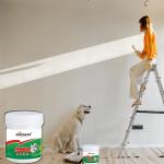 Steel Structure Plant Metal Roof Waterproofing Coating with Acrylic Building