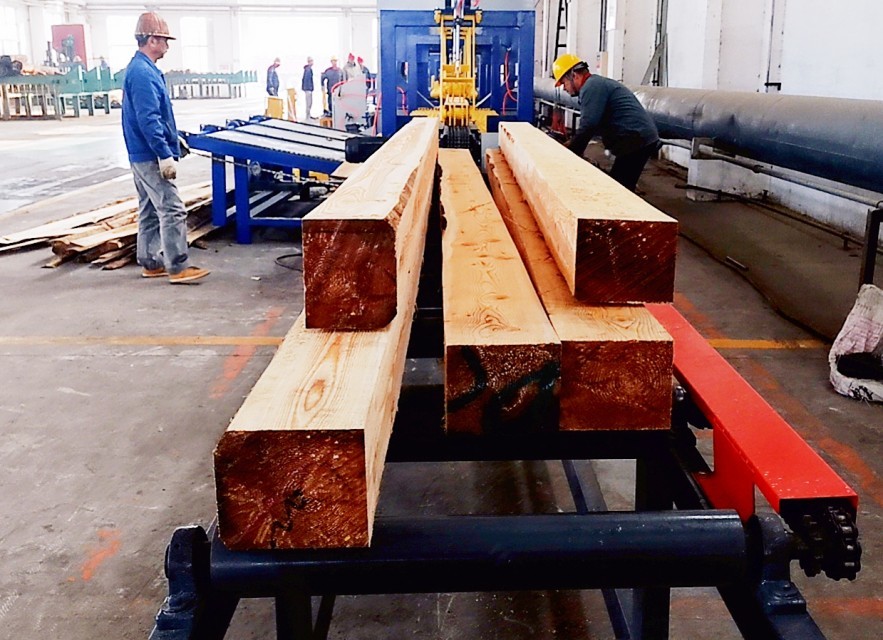 China Manufacturer Twin Vertical Saw Double Blades Wood Cutting Vertical Bandsaw Mills Sawmill Production Line