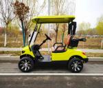 10 Inch Tire Optional Lithium Battery Electric Golf Cart 4KW Motor Customized