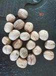 Sell China organic walnuts 25kg bags import standards with best quality