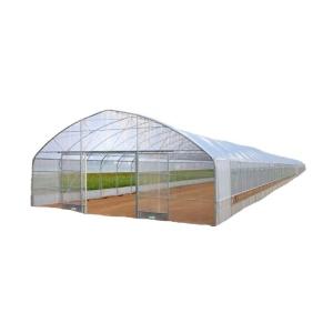 Quality Hot Galvanized Aluminum Steel Structure Cooling Greenhouse for Growing Lettuce wholesale