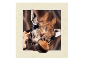 Quality Animal Stock 5D 3D Lenticular Pictures PET Printing Service Deer image wholesale