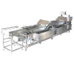 Leek Garlic Vegetable Fruit Washing Machine , Vegetable Washing Equipment