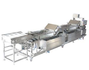 Quality Leek Garlic Vegetable Fruit Washing Machine , Vegetable Washing Equipment wholesale