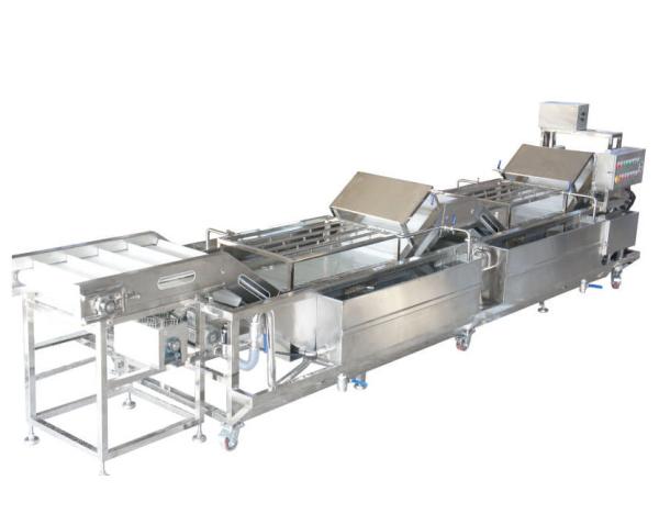 Leek Garlic Vegetable Fruit Washing Machine , Vegetable Washing Equipment