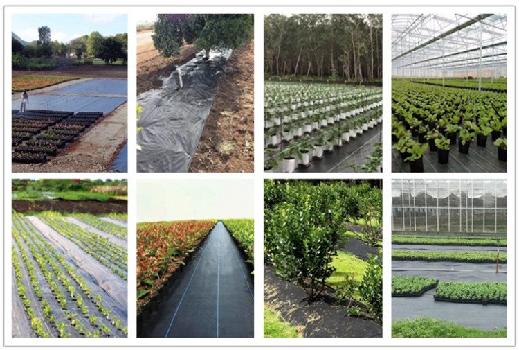 High Quality PP Woven Ground Cover /Weedmat /Weed Control Fabric /Silt Fence Fabric with UV