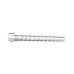 M6 75mm Stainless Steel Hex Head Concrete Anchor Bolt for Thread Rod Payment
