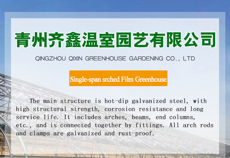 Commercial Film Covered Single Tunnel Greenhouse for Maximizing Agricultural Output