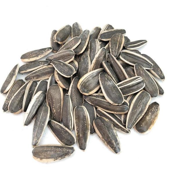 Amazon hot sale Customized Wholesale Export Southeast Asia Delicious 361