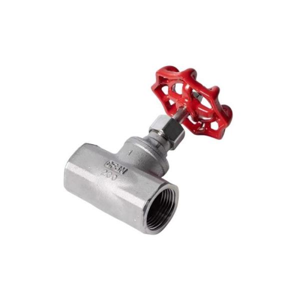 Stainless Steel 304/316 Bsp Thread Globe Valve for Chemical and Petrochemical