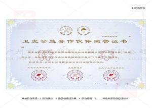 Quality Graduation Diploma Certificate Printing , ISO Certificate Embossed Certificate Printing wholesale