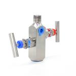304 Stainless Steel Integrated Two Valve Group Coplanar Flange Mounted Pressure