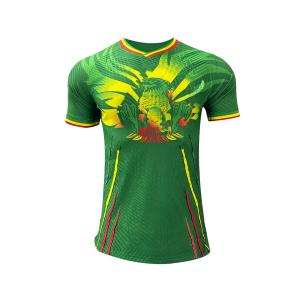 Quality Breathable Fabric Soccer Team Jersey Support Personalized Customization wholesale