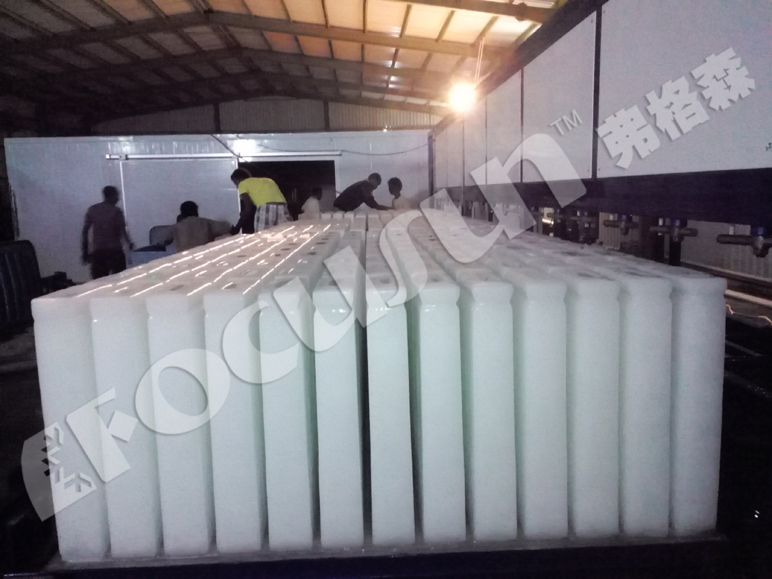 30 Tonnes Daily Capacity Ice Block Machine Bitzer Compressor and Automatic Operation