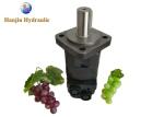 High Torque Low RPM Hydraulic Motor BMS100 / OMS100 Hydraulic And Automotive