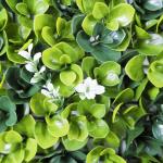 Boxwood Panel Artificial Plant Wall Green Flower Grass Backdrop For Indoor
