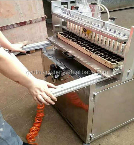 Tomato Seeding Machine 120 Tray Lettuce Seed Vegetable Seed Planter for Plastic Tray