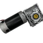 12v 24v 48v electric dc worm gear motor with Worm Gearbox heavy duty 10Nm 20Nm