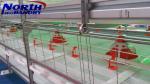 Thailand Asian poultry livestock Exhibition and Egypt poultry Exhibition