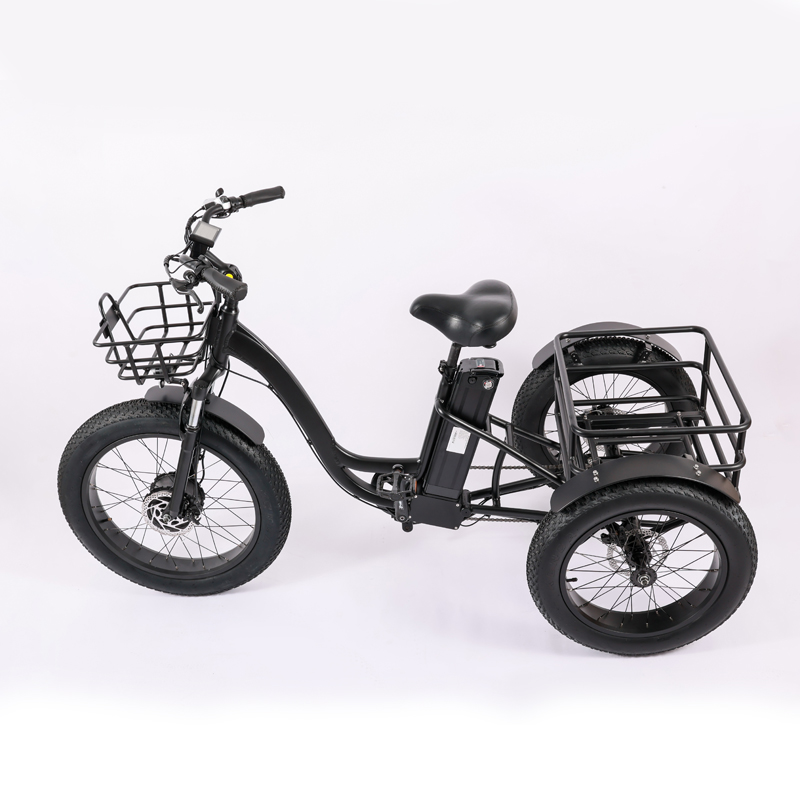 High Capacity Family Cargo Bike with Torque 80-90 Nm and Rear Carrier Battery Position