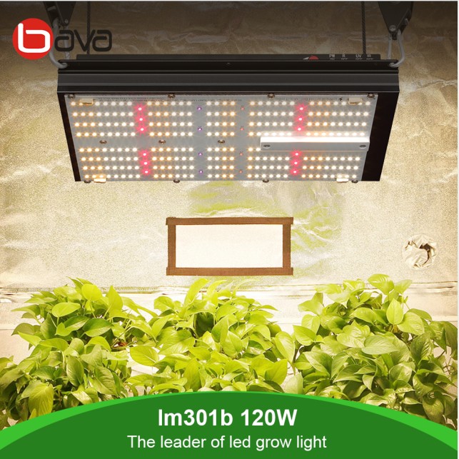 BAVA Indoor Plant Grow Light 120W SAMSUNG LM301B Panel 2.55umol/J