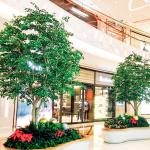 Large Ficus Foliage Artificial Landscape Trees With Lush Green Leaves No