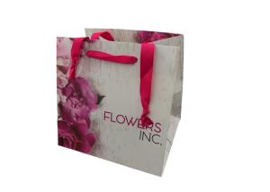Quality Romantic Unique Present Paper Bag , Giant Birthday Gift Bags Eco - Friendly wholesale