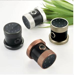 Quality 150 Events Zinc Alloy Smart Fingerprint Door Lock Semiconductor 120 Templates wholesale