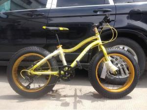 Quality OEM 21 Speed 20 Inch Fat Tire Electric Bike wholesale