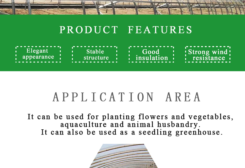 Commercial Film Covered Single Tunnel Greenhouse for Maximizing Agricultural Output