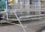 3 Tier 4 Doors A Frame Layer Cages / Q235 Chicken Battery Cage