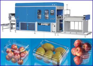 Quality Plastic Vacuum Thermoforming Machine For Super market Fruit and Vege containers wholesale