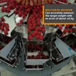 Industrial Small Fruit Packaging Machinery Automatic Bottle Sensoning Pellet