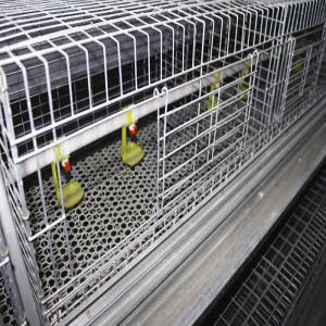 Quality Farming Coop Broiler Chicken Cage Animal Husbandry Equipment wholesale
