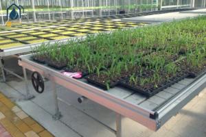 Quality Agricultural Ebb And Flow Benches Hydroponic Seedbed Indoor Grow Room Benches wholesale