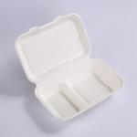 Disposable Take Away Food Packaging Clamshells 9 X 6In 2 Compartment Lunch Box