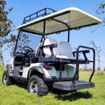 Versatile 4 Seater Golf Cart for Golf Courses Resorts and Parks