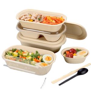 Quality Biodegradable Sugarcane Bagasse Food Container Bamboo Pulp Food Container Boxes wholesale