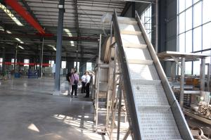 China Film Packing Mango Juice Production Line Tropical Mango Juice Filling Machine on sale